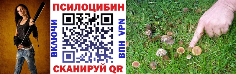Псилоцибиновые грибы прущие грибы  как найти   Тамбов 