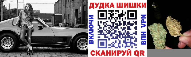 что такое   Тамбов  Бошки Шишки планчик 